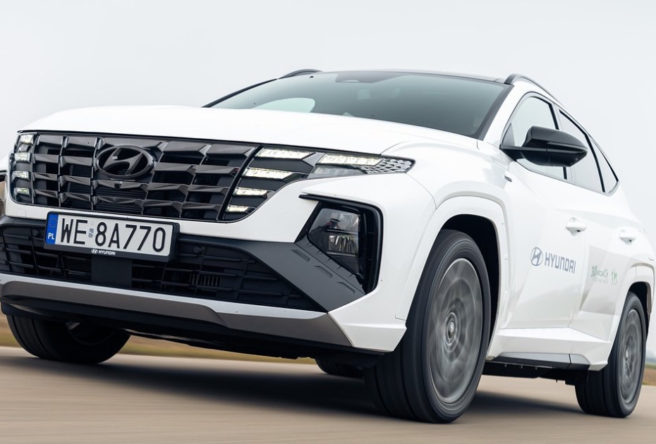 Fundacja Nasza Ziemia i Hyundai Motor Poland w roku 2023 kontynuują współpracę